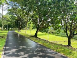 Blk 221 Bishan Street 23 (Bishan), HDB 5 Rooms #555317551